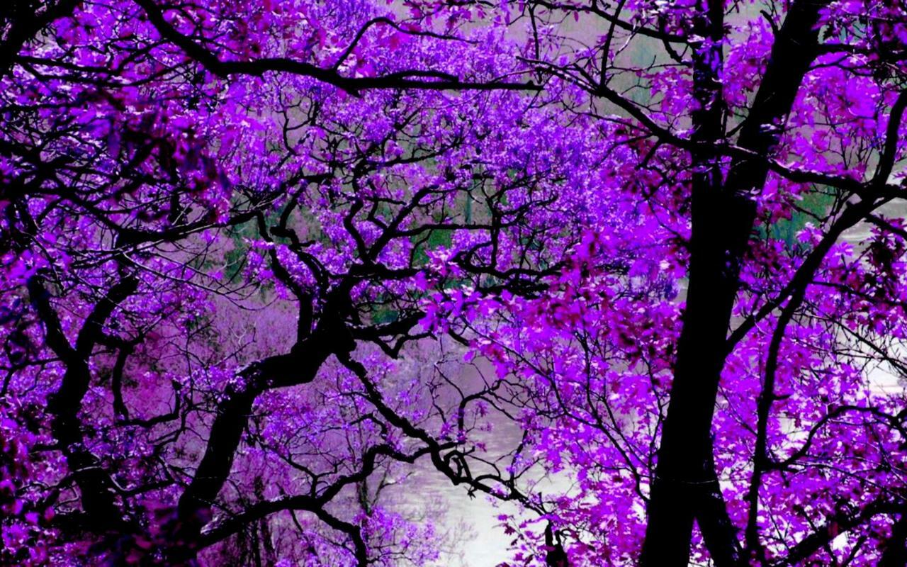 Violet #Colony_White_Tower Apartment Солун Екстериор снимка